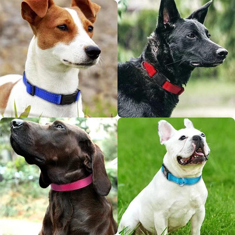 Coleira para Cães Médios e Grandes de Nylon com Acolchoamento e Faixa Refletiva - Imagem 6