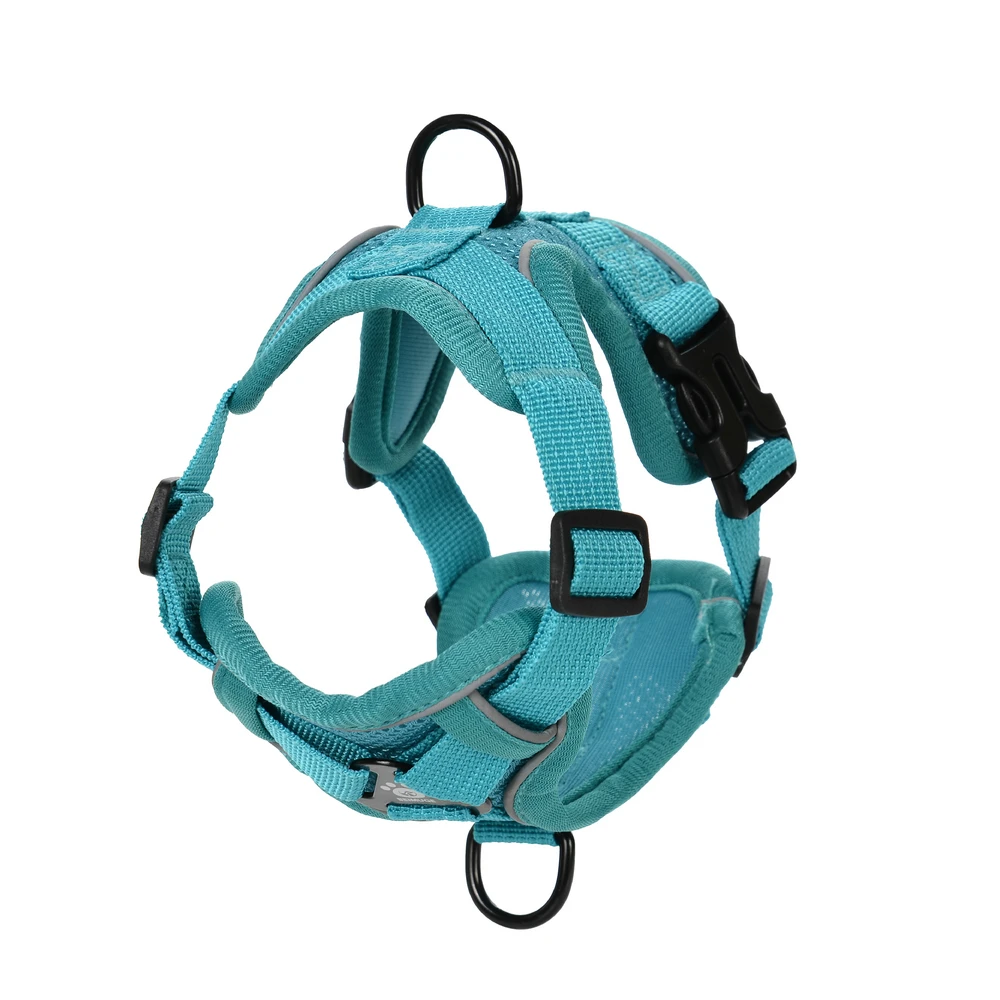 Conjunto Peitoral e Guia para Cães e Gatos Pequenos com Faixa Refletiva - Imagem 2