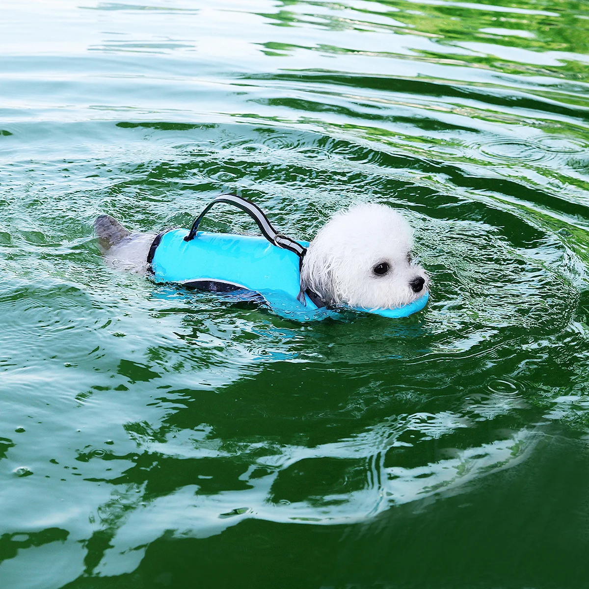 Colete Salva-Vidas para Cães Pequenos, Médios e Grandes - Image 5