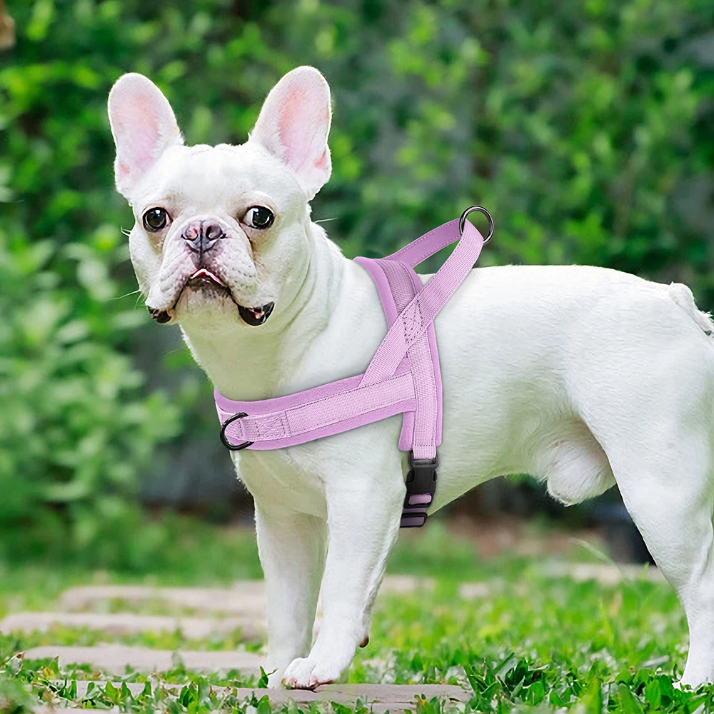 Peitoral para Cães Pequenos e Médios Ajustável Anti-Puxão - Image 5