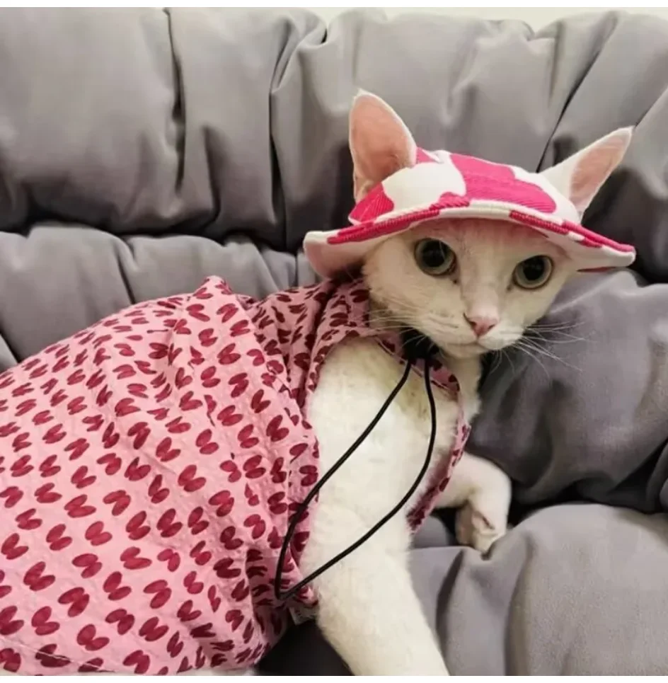 Chapéu de Sol para Cães e Gatos Pequenos e Médios - Image 3