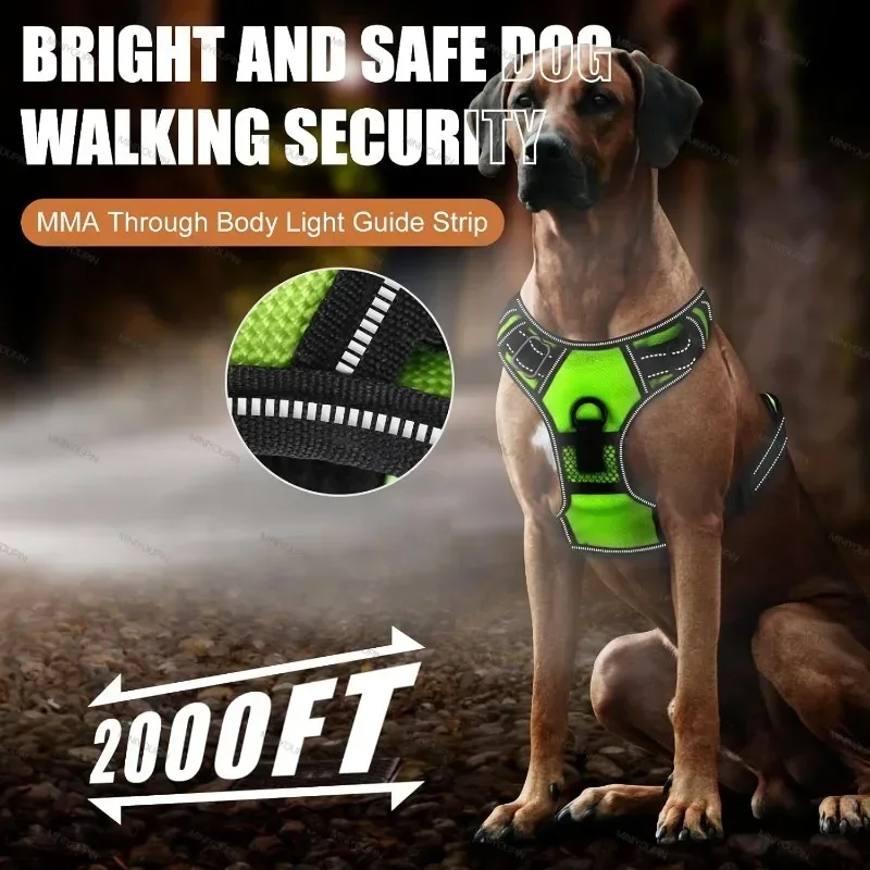 Arnês LED para Cães Recarregável com Faixa Refletiva para Passeio Noturno - Imagem 3
