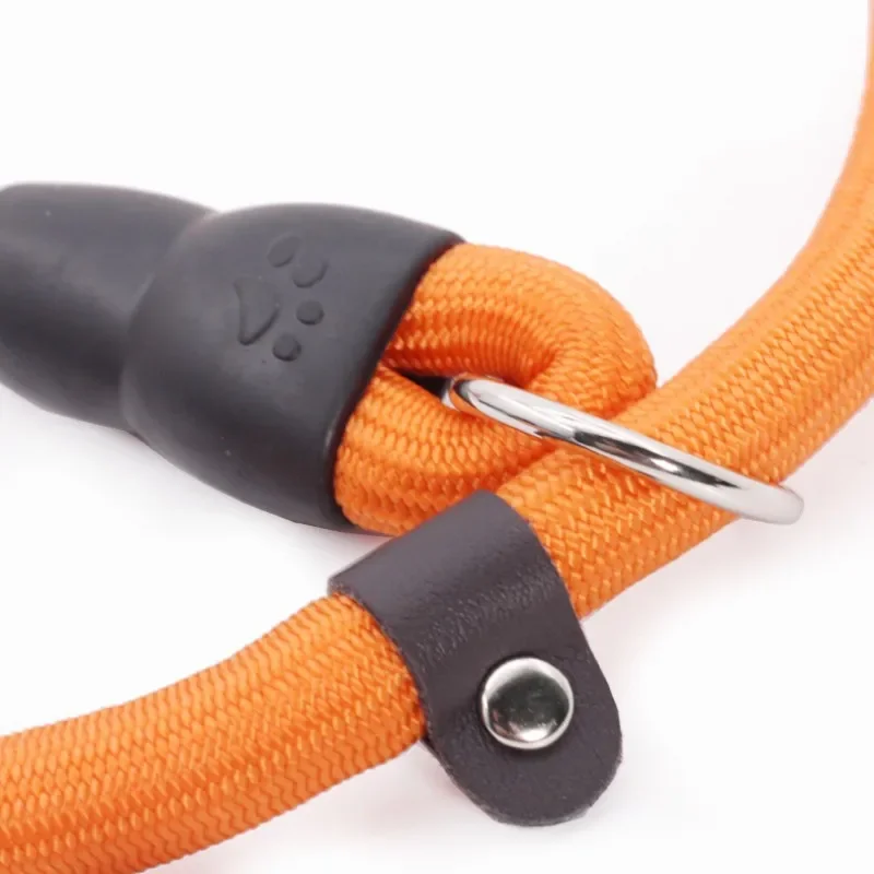 Coleira de Nylon para Cães com Fivela Ajustável - Imagem 4