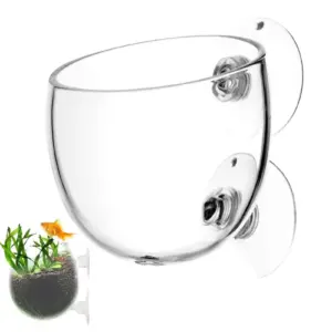 vaso de vidro para plantas de aquário
