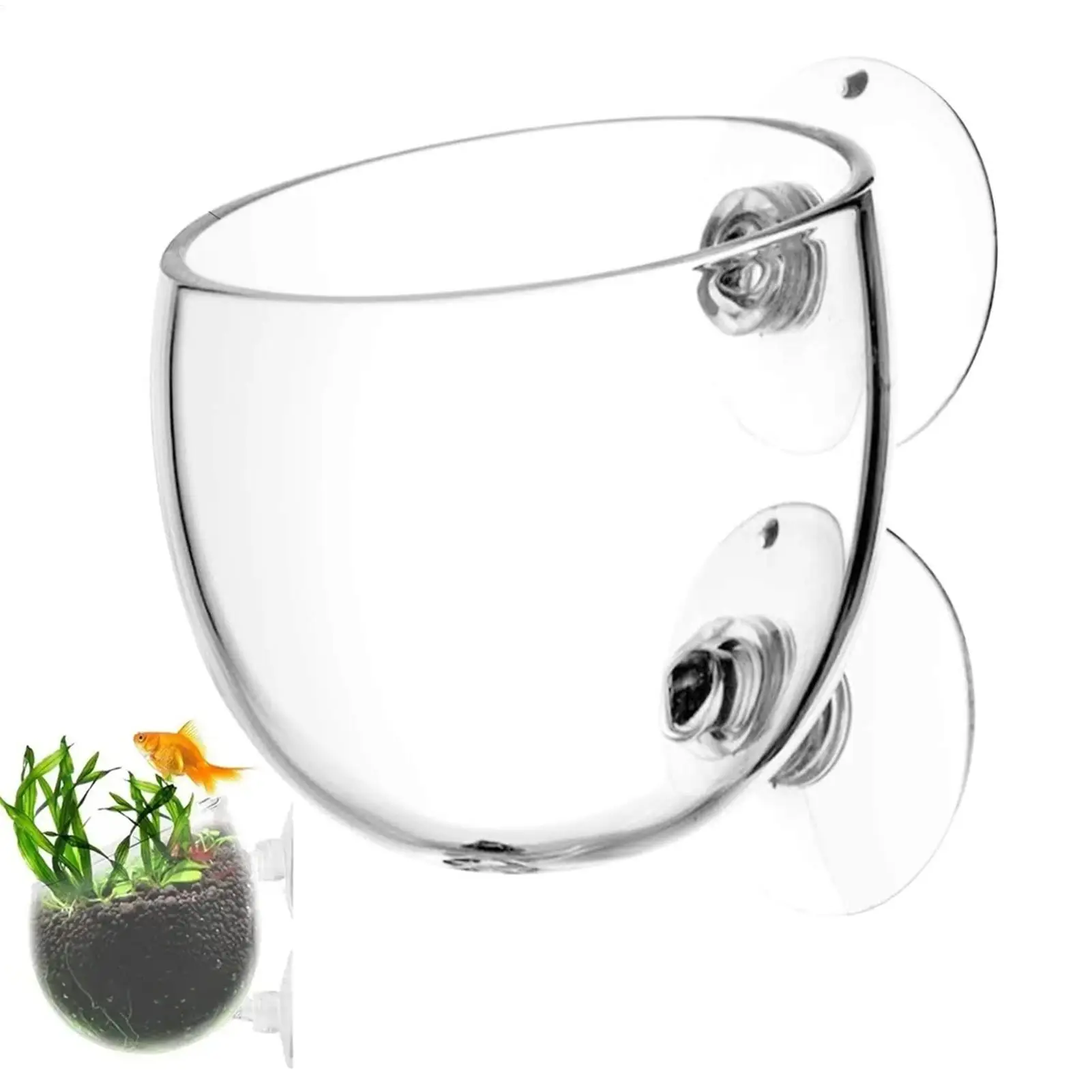 vaso de vidro para plantas de aquário