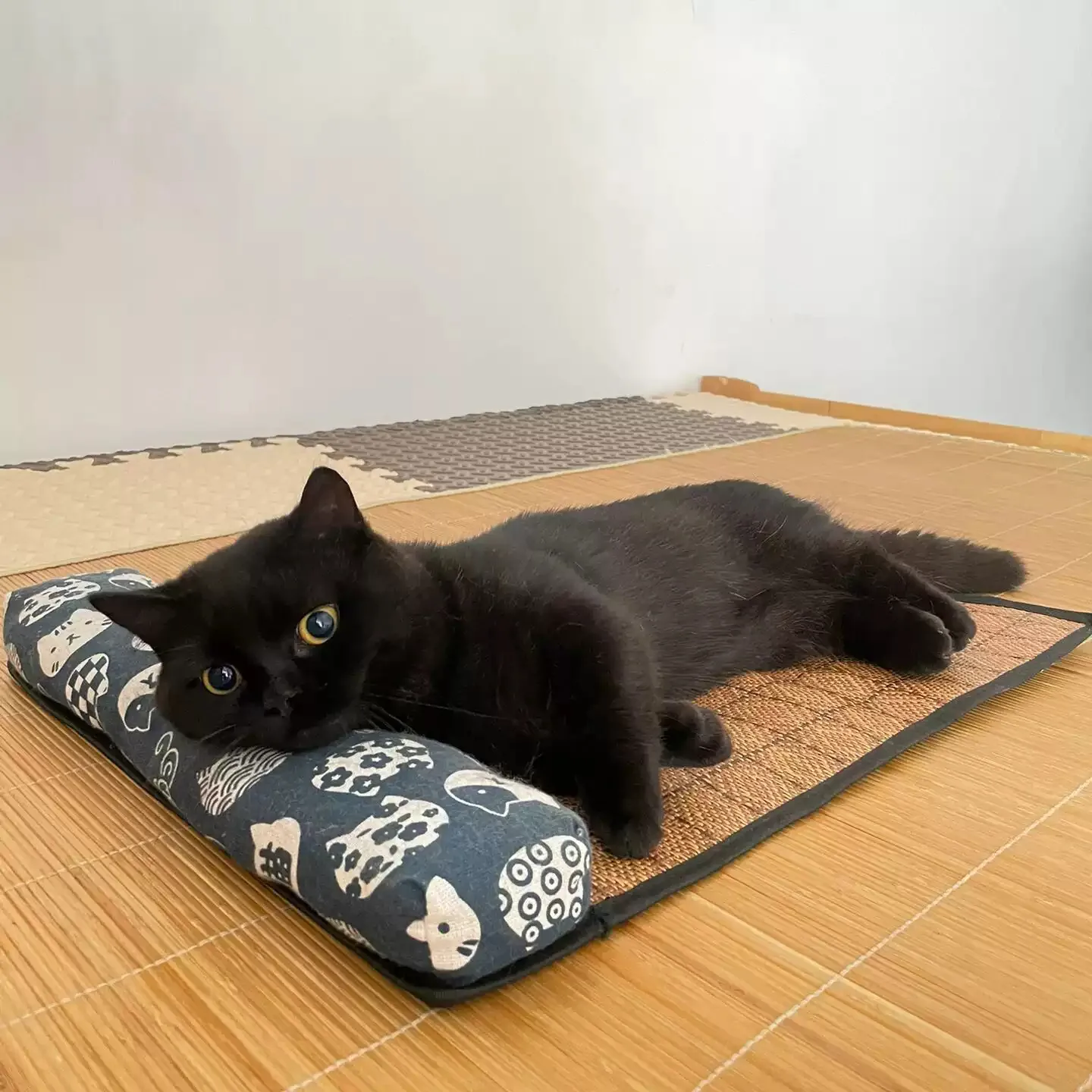 tapete de resfriamento de rattan para cães e gatos
