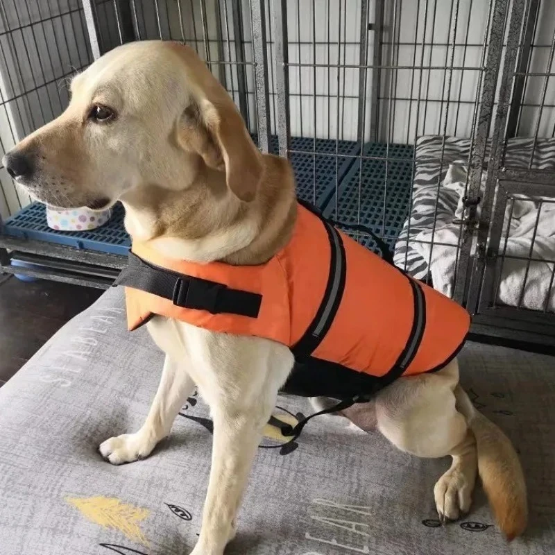 Colete Salva-Vidas para Cães Grandes Ajustável com Faixas Refletivas - Imagem 5