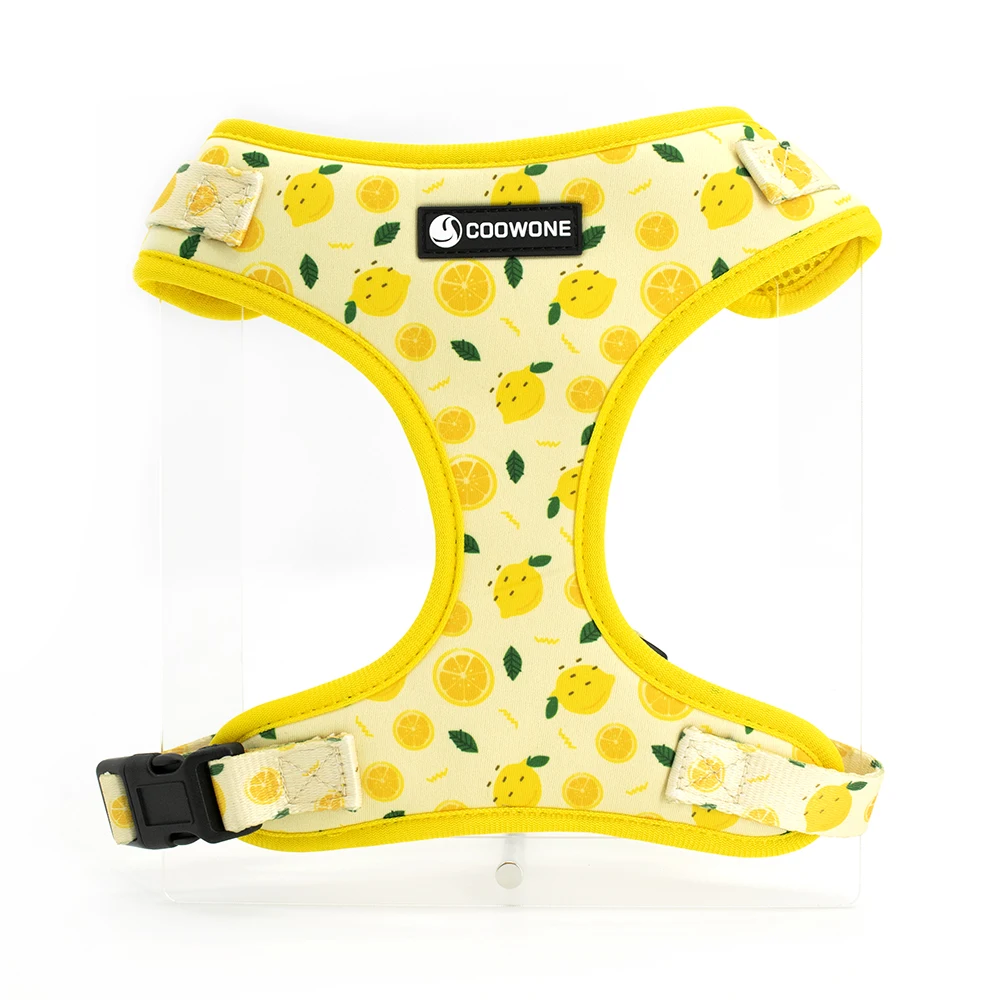 Coleira para Cães Collarlogo com Neoprene e Fivela de Plástico - Image 2