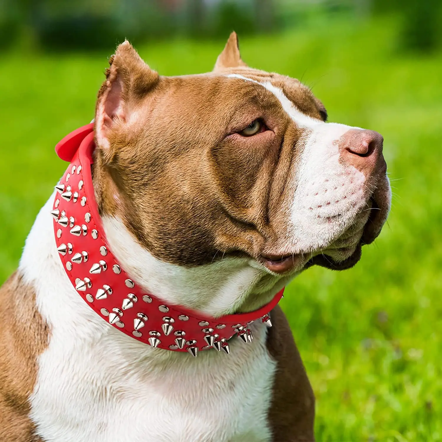 Coleira de Couro PU para Cães Grandes com Rebites Ajustável - Image 5