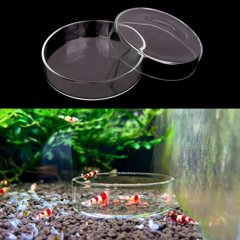 Alimentador para Aquário de Vidro Transparente Flutuante 6,0 cm - Imagem 4