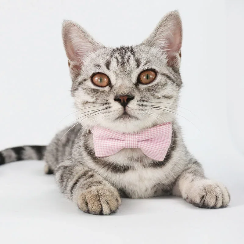 Coleira para Gatos Ajustável de Poliéster 23-30 cm - Imagem 3