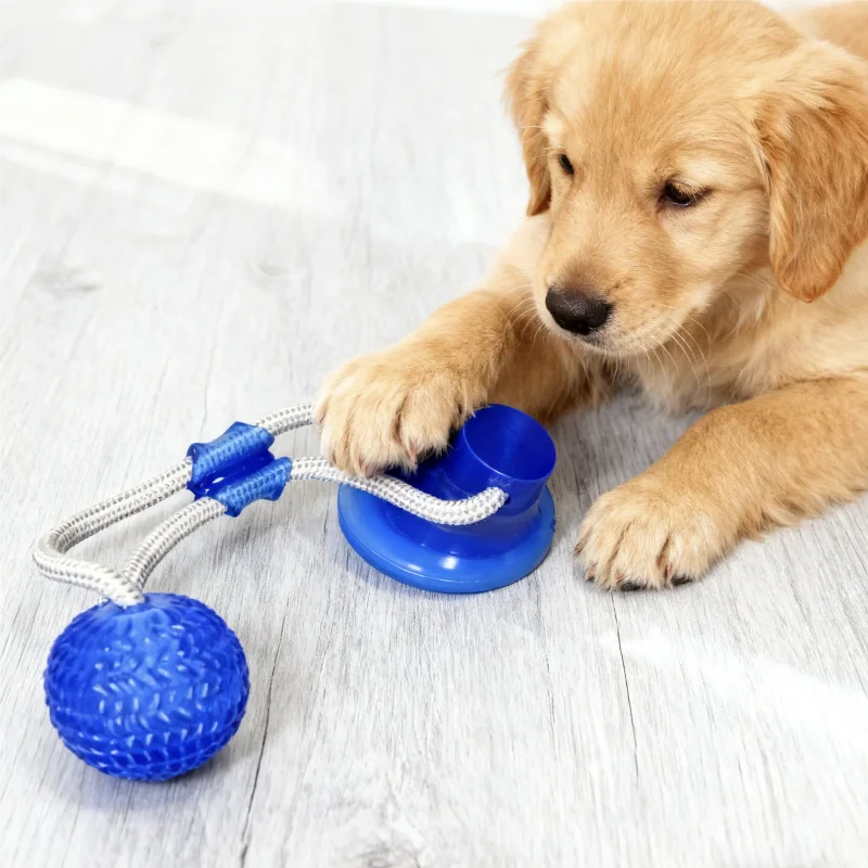 Brinquedo para Cães com Ventosa e Bola TPR para Morder - Imagem 3