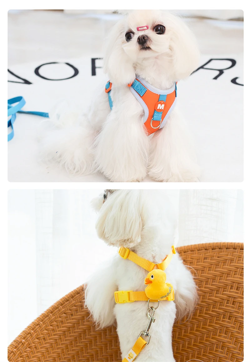 Coleira Ajustável para Cães com Estampa Animal - Imagem 6