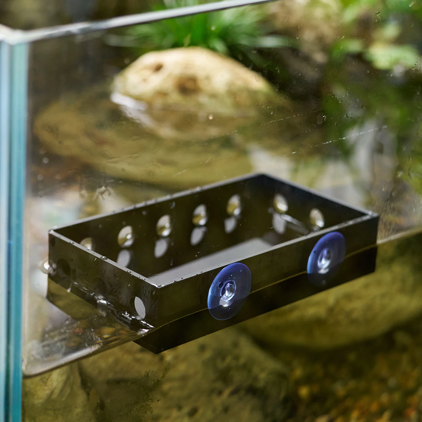Defletor de Fluxo para Aquário Betta 14x7,7x3 cm com Ventosa - Imagem 2