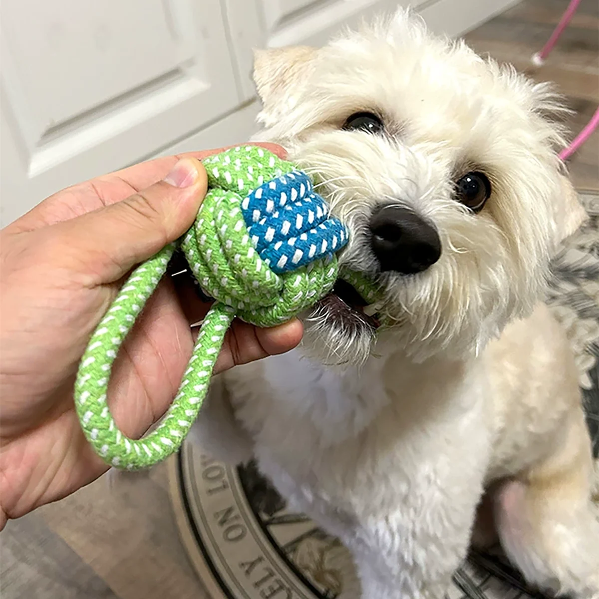 Brinquedo de Corda para Cães de Nylon com Multi-Textura e Pega Antiderrapante - Imagem 5