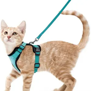 coleira peitoral para gatos ajustável