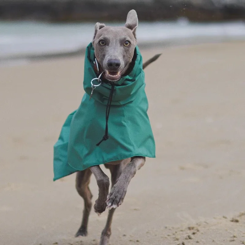 Capa de Chuva para Cães Grandes com Gola Alta e Lavável - Imagem 3