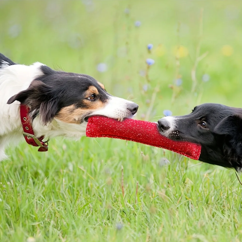 Vara de Mordida para Cães com Alça Dupla de Juta - Imagem 2