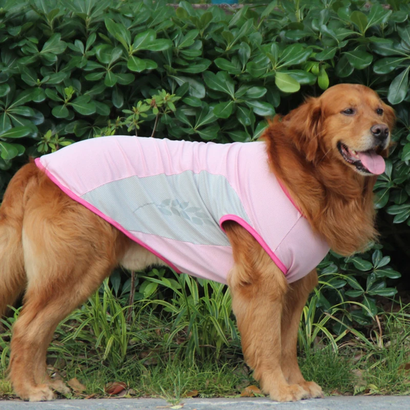 Colete de Resfriamento para Cães com Faixa Refletiva para Passeio - Image 4