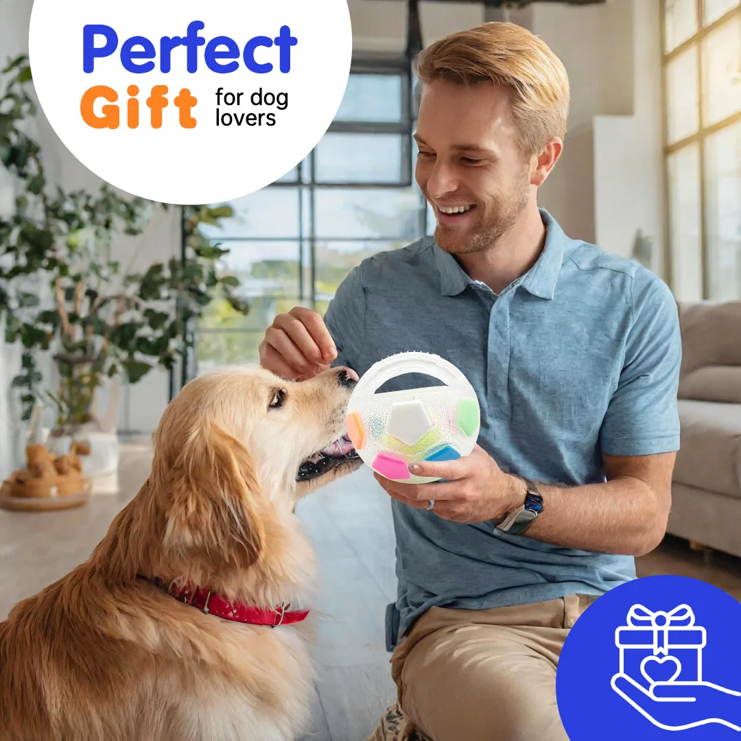Brinquedo de Futebol para Cães com Som para Treinamento ao Ar Livre - Imagem 4