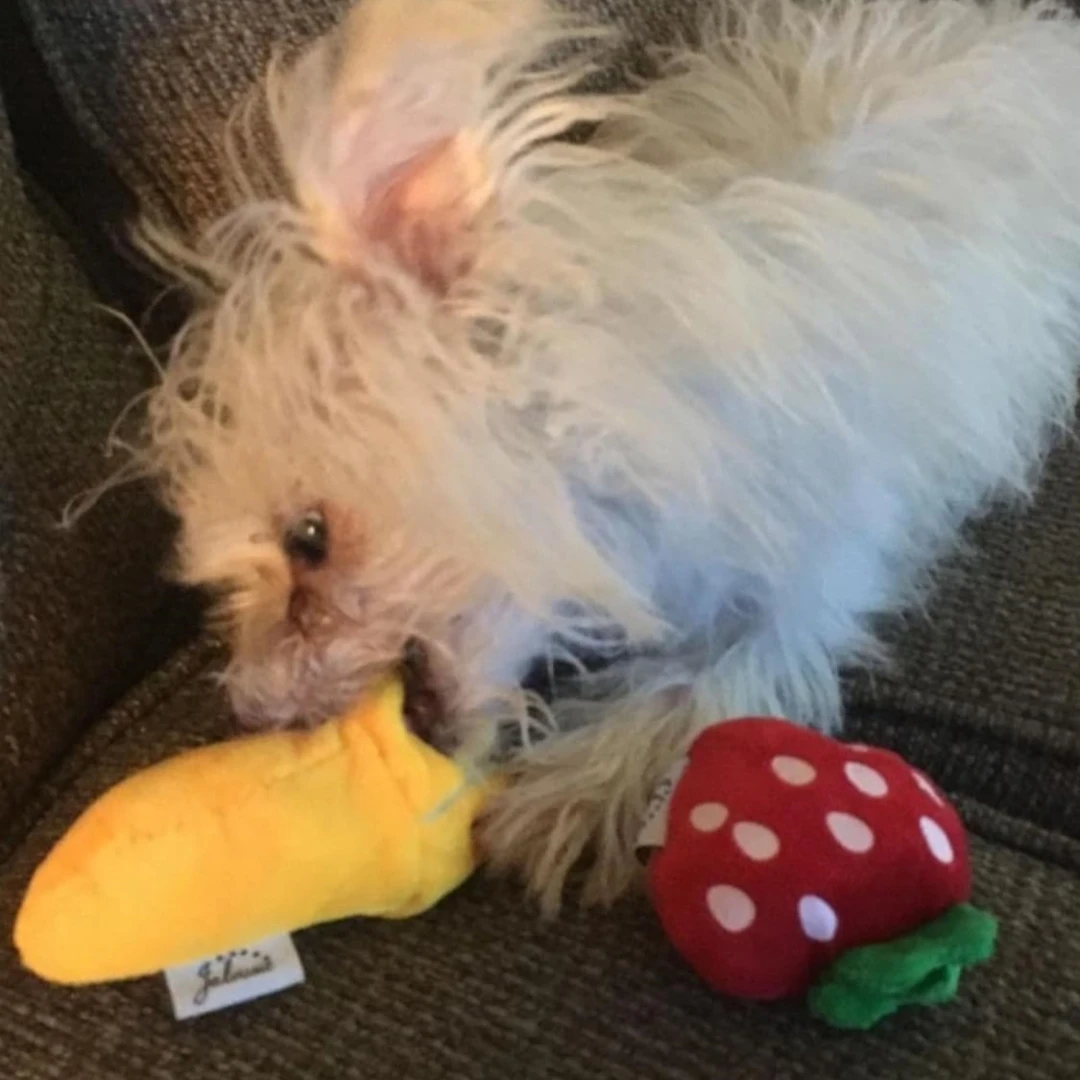 Kit de Brinquedos para Cães com 7 Peças de Pelúcia e Sons - Imagem 3