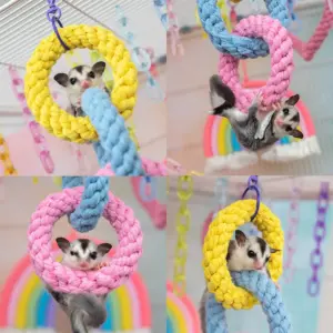 brinquedo de escalada para hamster