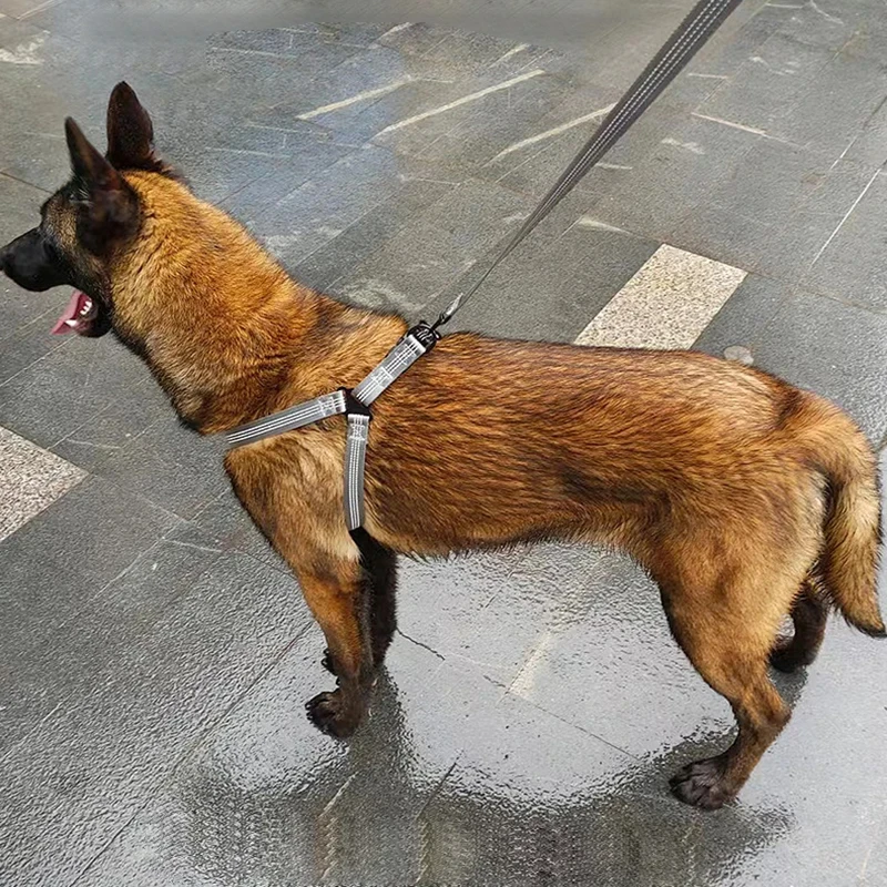 colete peitoral ajustável refletivo para cães