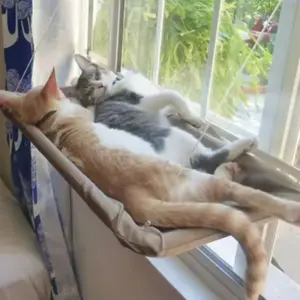 rede suspensa para gatos para janela