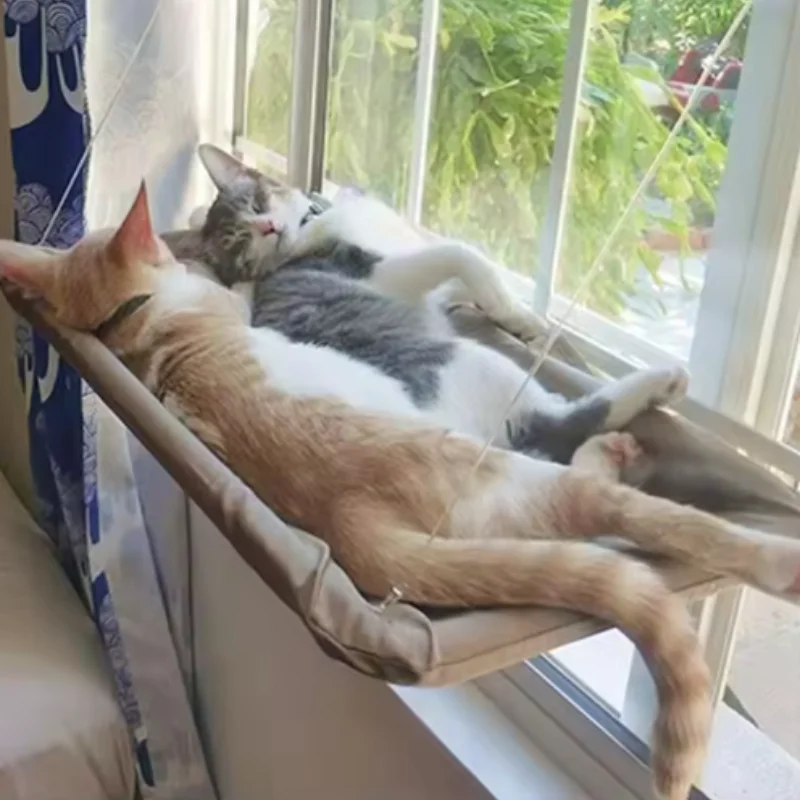 rede suspensa para gatos para janela