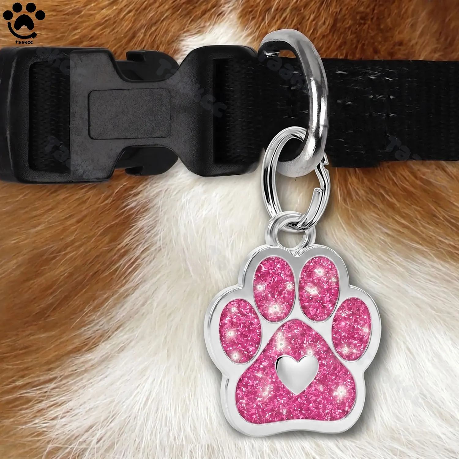 Etiqueta de Identificação para Cães e Gatos com Gravação Gratuita - Imagem 5