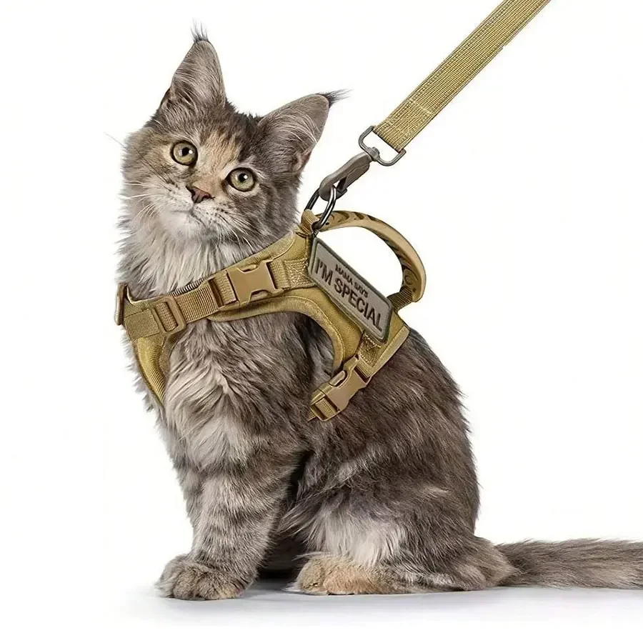 Colete para Gatos Ajustável para Passeio ao Ar Livre - Image 5
