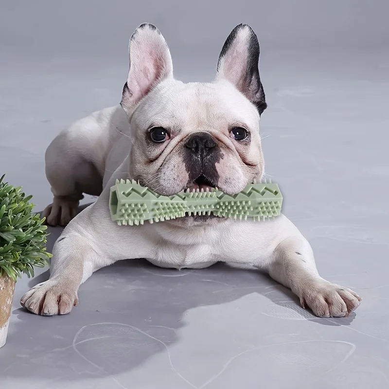 Bastão de Mastigar para Cães de Plástico Durável Azul - Imagem 6