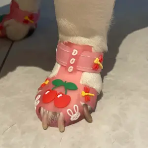 sapatos respiráveis para cães