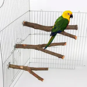 poleiro de madeira para pássaros