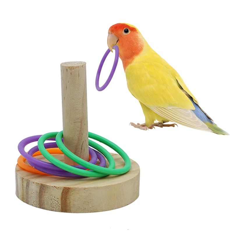 Brinquedo para Pássaros e Papagaios com Anéis de Plástico Coloridos - Imagem 5