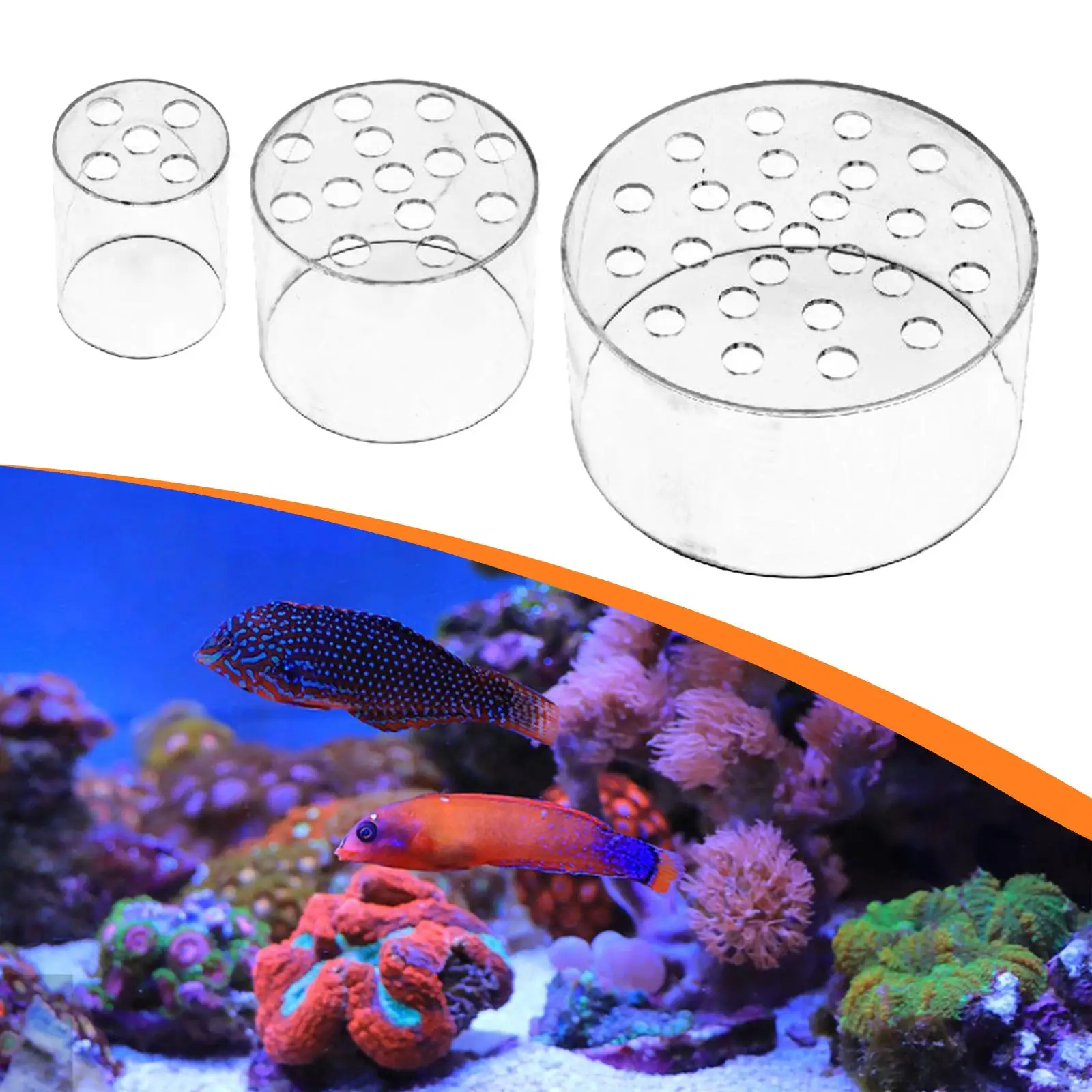 capa de alimentador para coral acrílico