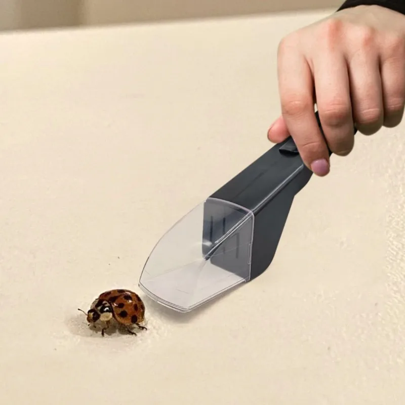Coletor de Insetos Portátil para Captura de Aranhas e Abelhas - Imagem 2