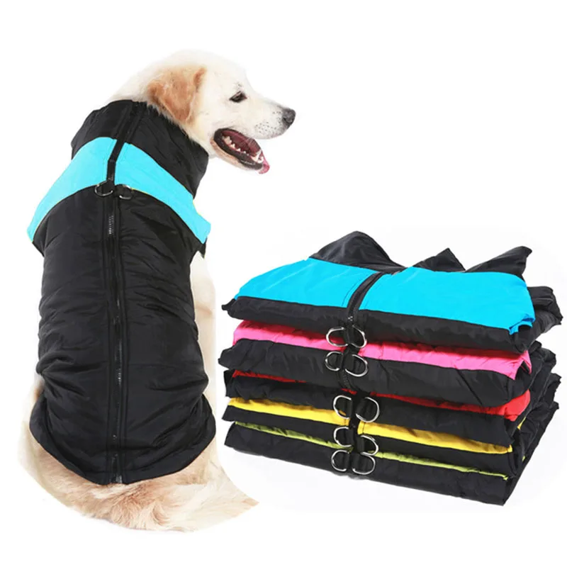 colete impermeável para cães