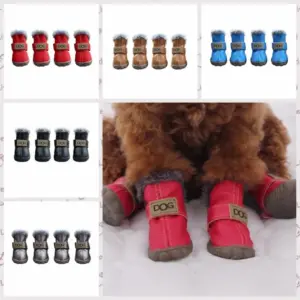 botas de neve para cães