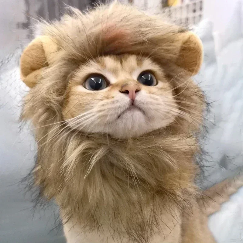 Chapéu Juba de Leão para Gatos e Cães Pequenos Cinza Claro - Imagem 3