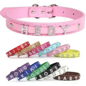 coleira personalizada para cães de couro