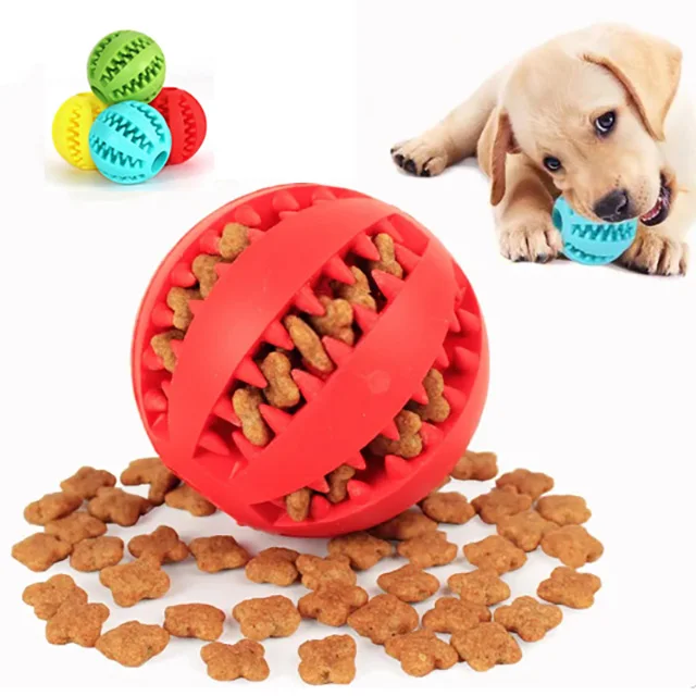 brinquedo bola de borracha para cães