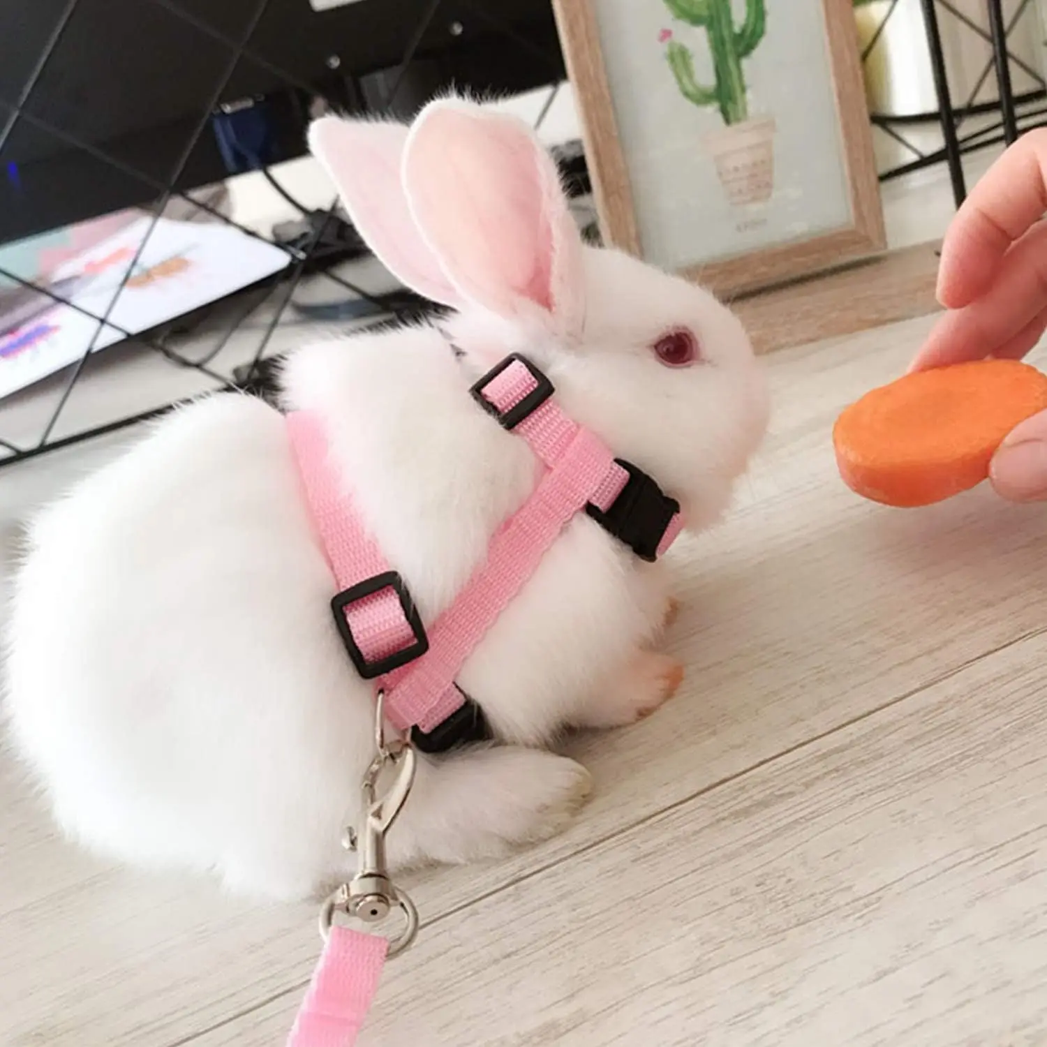 Coleira Peitoral H para Gatos Ajustável de Nylon com Guia de 120 cm - Imagem 5