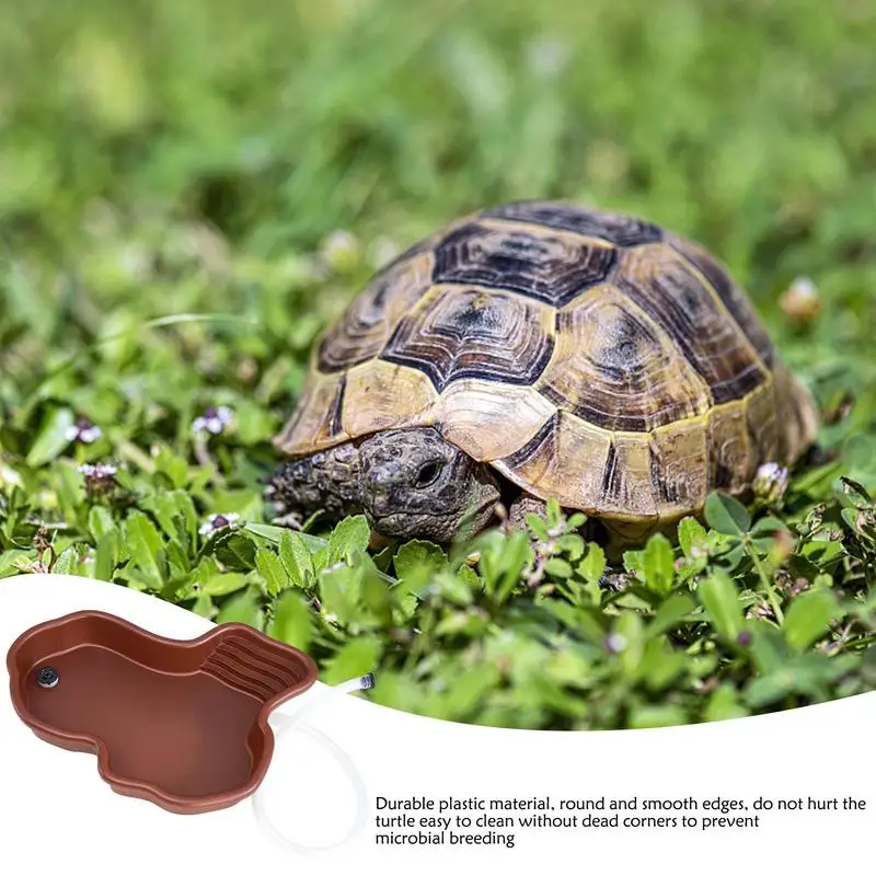 Prato para Tartaruga e Répteis com Rampa e Terraço 5 cm - Imagem 3