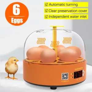 incubadora de ovos automática para aves