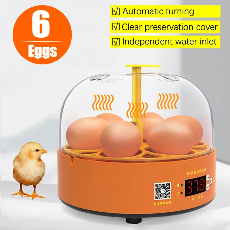 incubadora de ovos automática para aves
