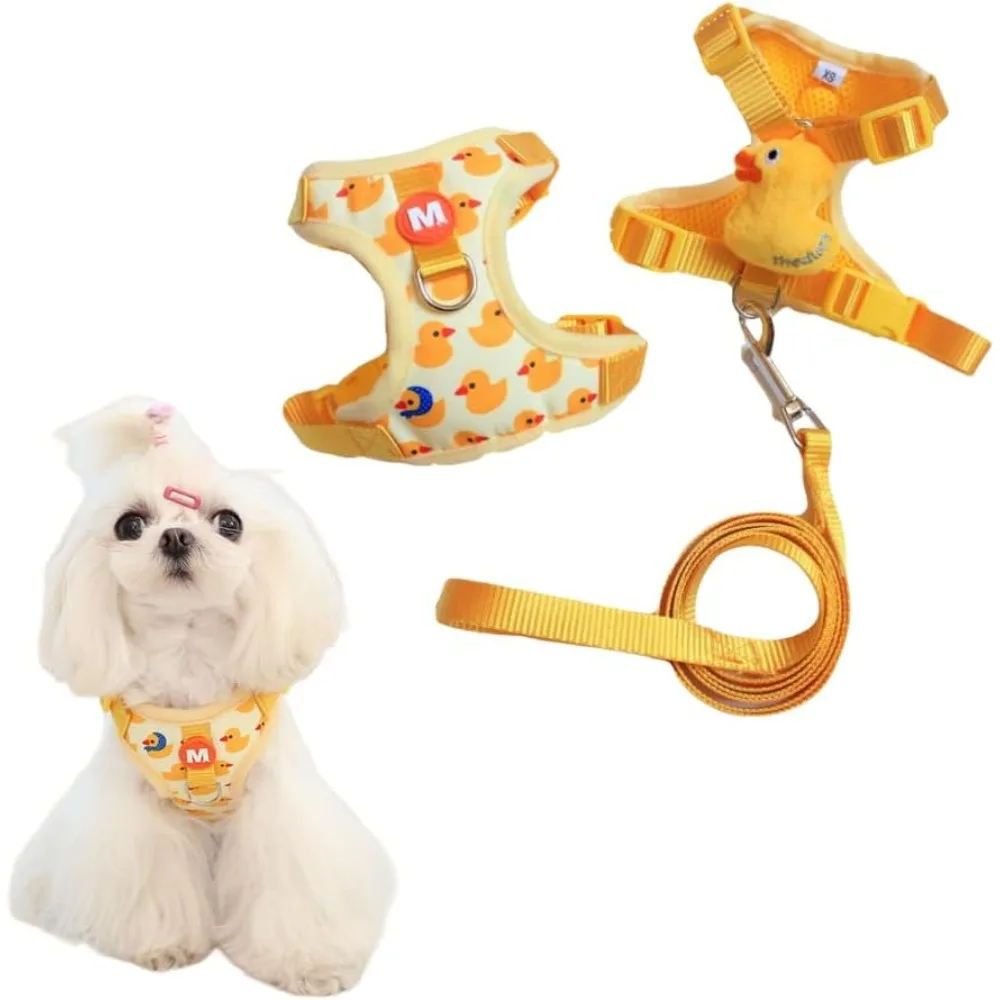 Conjunto Peitoral e Guia para Cães Pequenos Ajustável M - Imagem 2