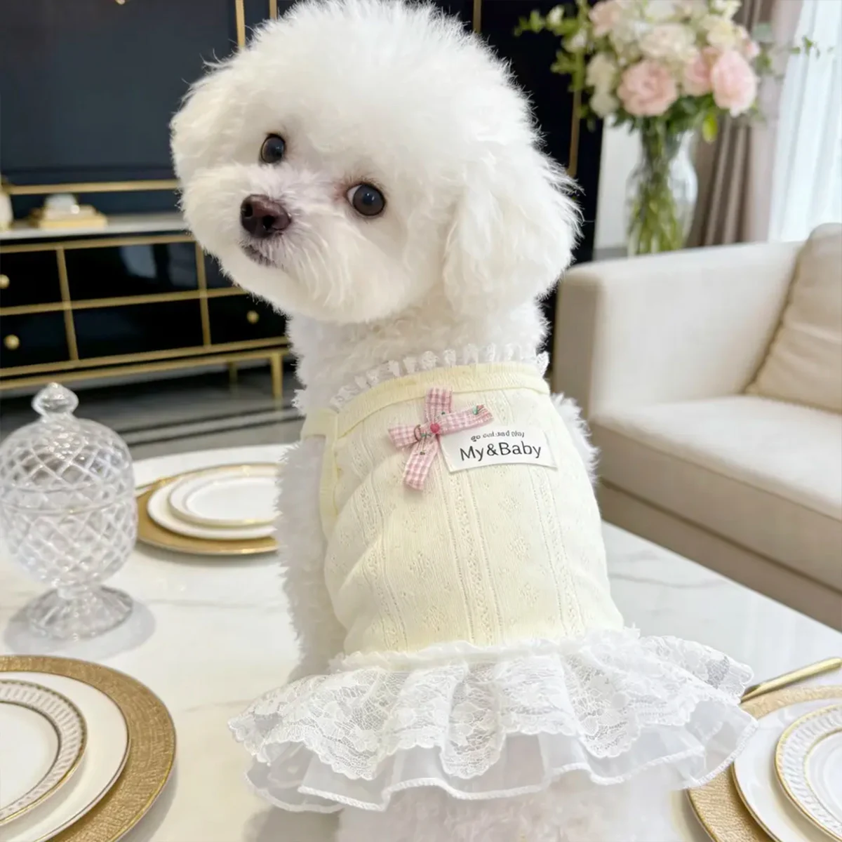 Colete para Cães Pequenos de Verão Respirável Chihuahua Pug York - Image 6