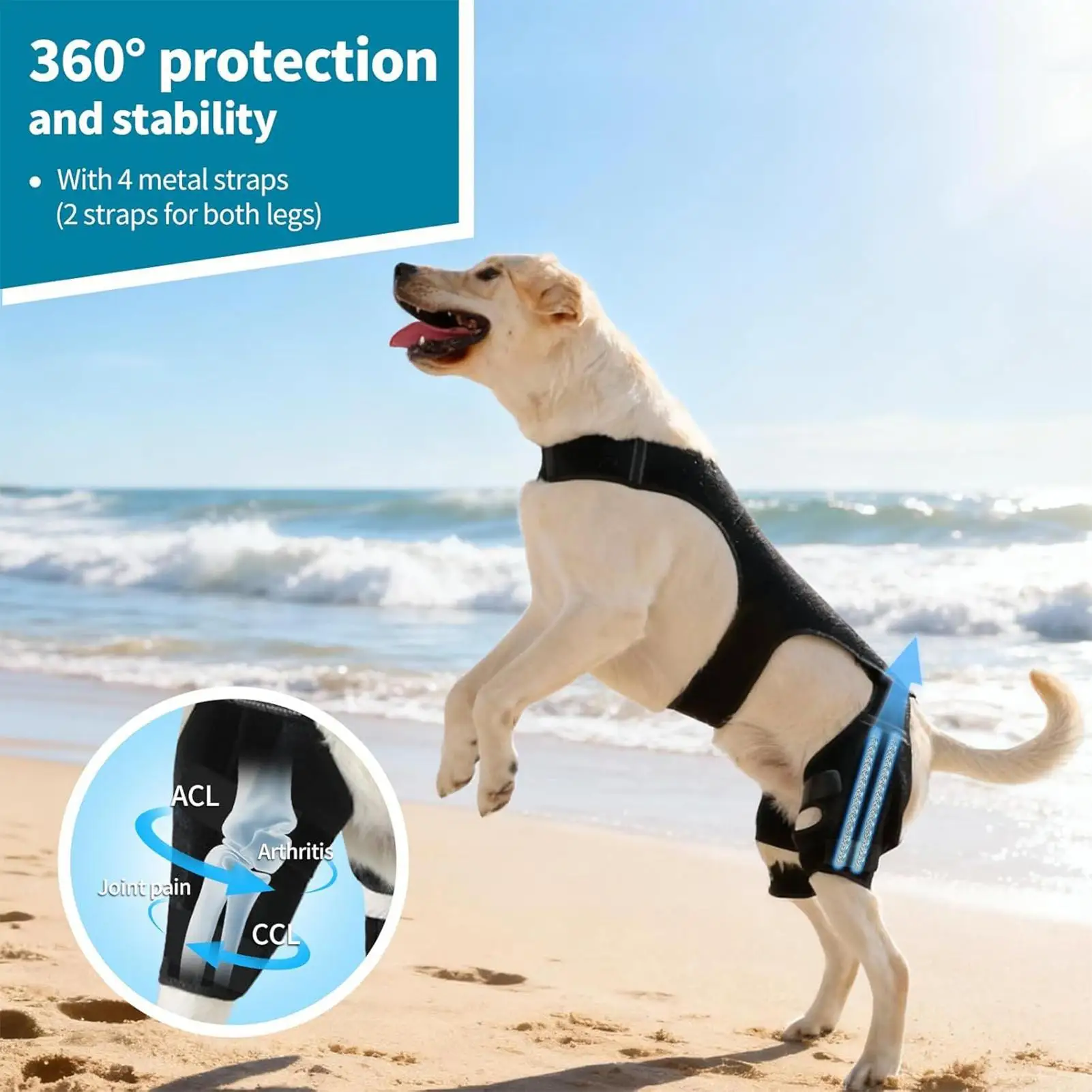 Suporte Ajustável para Pata de Cachorro com 4 Estabilizadores Metálicos - Imagem 5