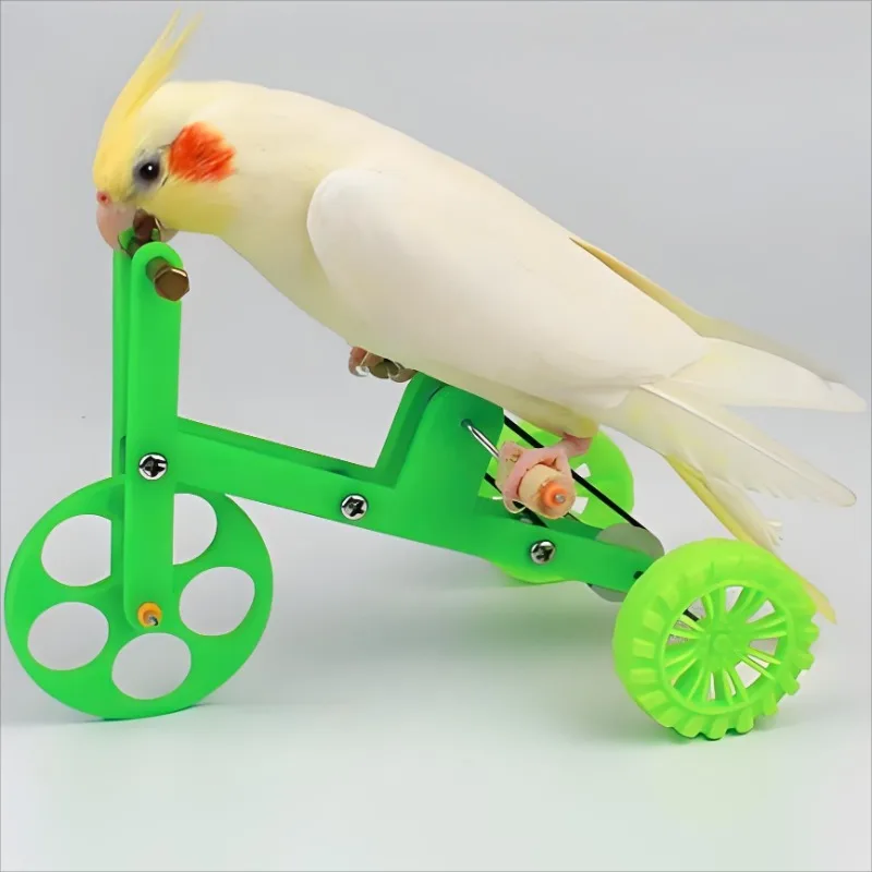 Bicicleta para Papagaio e Pássaros Pequenos Interativa para Treinamento - Imagem 2